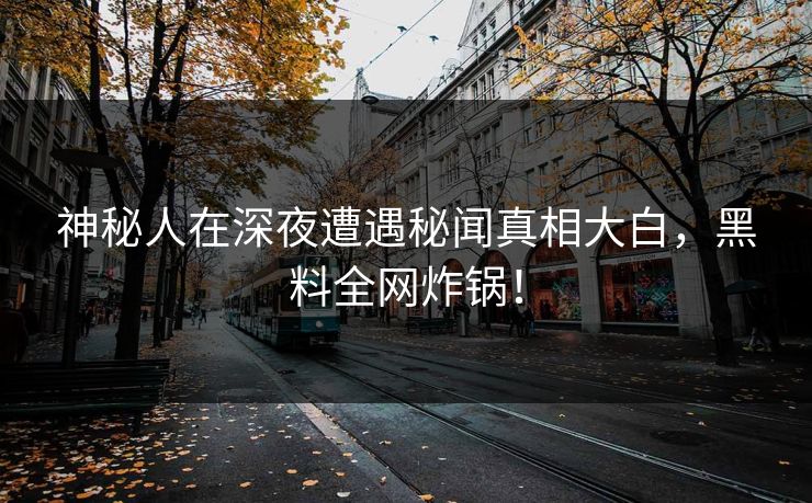 神秘人在深夜遭遇秘闻真相大白，黑料全网炸锅！