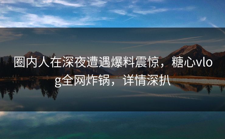 圈内人在深夜遭遇爆料震惊，糖心vlog全网炸锅，详情深扒