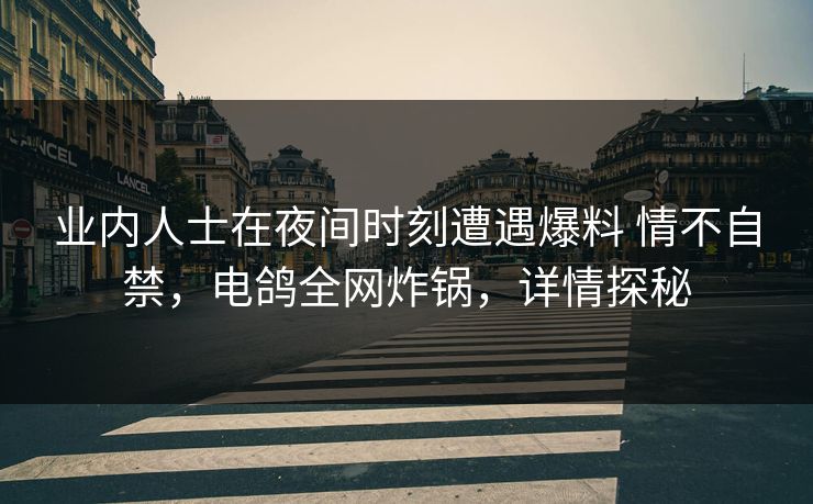 业内人士在夜间时刻遭遇爆料 情不自禁，电鸽全网炸锅，详情探秘