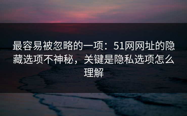 最容易被忽略的一项：51网网址的隐藏选项不神秘，关键是隐私选项怎么理解